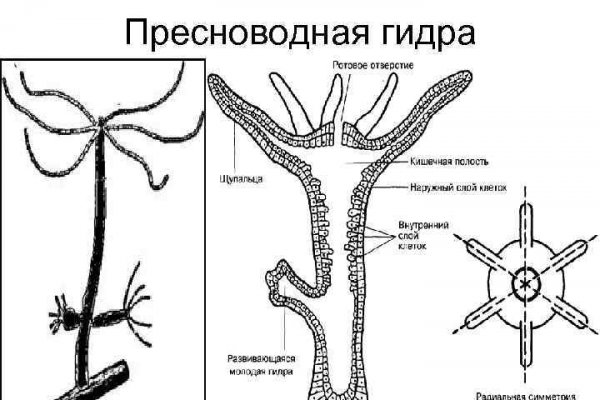 Каталог сайтов супернет