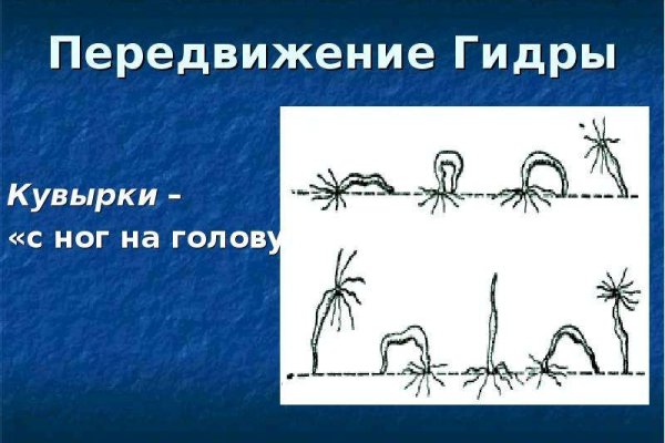 Пользователь не найден кракен супернет