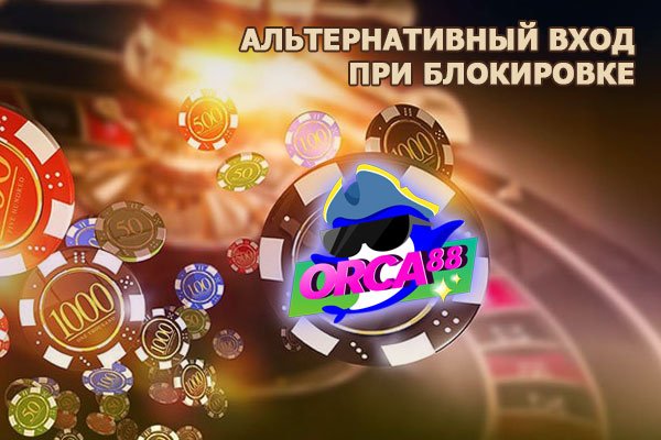 Супернет каталог
