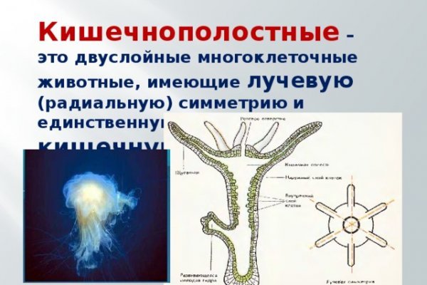 Кракен супернет тг