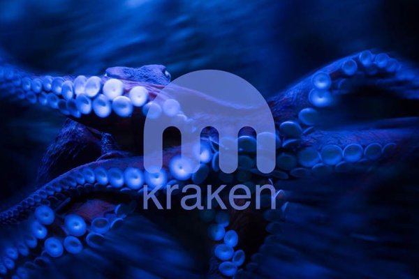 Kraken whitenet market